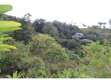 Vendo casa campestre en el otoño la buitrera, cali
