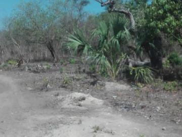 Terreno en  Llera Tamaulipas