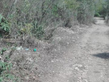 Terreno en  Llera Tamaulipas