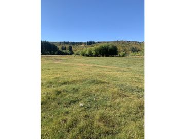 OPORTUNIDAD - CHACRA DE 3.5 HECTREAS EN CHOLILA CH-152