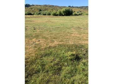 OPORTUNIDAD - CHACRA DE 3.5 HECTREAS EN CHOLILA CH-152