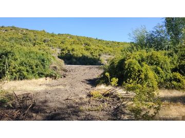 OPORTUNIDAD - CHACRA DE 3.5 HECTREAS EN CHOLILA CH-152