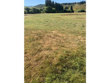 OPORTUNIDAD - CHACRA DE 3.5 HECTREAS EN CHOLILA CH-152