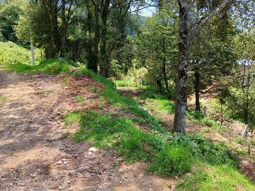 Cabaña en Venta en Mineral del Chico. Casa de Descanso en el Bosque.