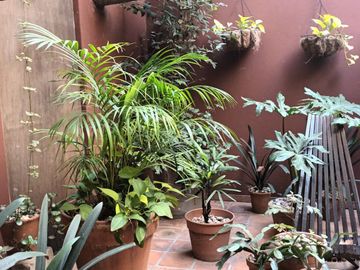 DEPARTAMENTO EN VENTA DE 4 AMBIENTES CON ESCRITORIO EN FAMOSO PASAJE GENERAL PAZ BARRIO COLEGIALES
