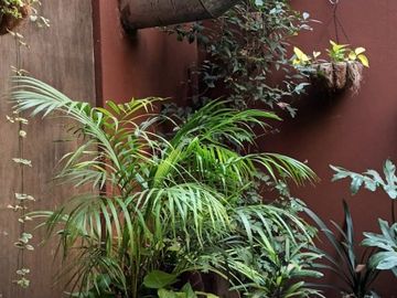 DEPARTAMENTO EN VENTA DE 4 AMBIENTES CON ESCRITORIO EN FAMOSO PASAJE GENERAL PAZ BARRIO COLEGIALES