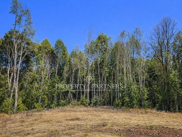 Espectacular parcela con bosque nativo en Condominio Las Tranqueras