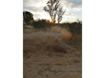 VENTA Terreno 3,5 ha con orilla de camino, San Nicolás