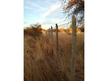 VENTA Terreno 3,5 ha con orilla de camino, San Nicolás