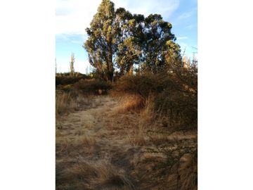 VENTA Terreno 3,5 ha con orilla de camino, San Nicolás