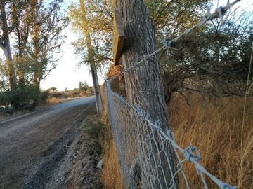 VENTA Terreno 3,5 ha con orilla de camino, San Nicolás