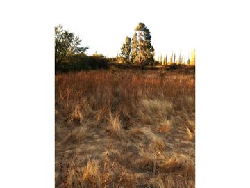 VENTA Terreno 3,5 ha con orilla de camino, San Nicolás