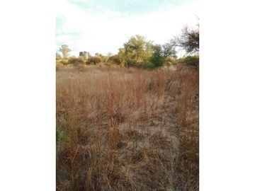 VENTA Terreno 3,5 ha con orilla de camino, San Nicolás