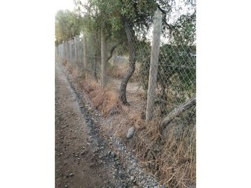VENTA Terreno 3,5 ha con orilla de camino, San Nicolás