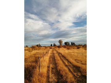 VENTA Terreno 3,5 ha con orilla de camino, San Nicolás