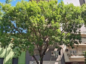 Departamento Venta en VILLA PUEYRREDON   2 ambientes balcon laundry  a estrenar