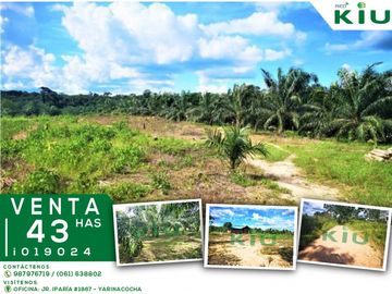 i019024 Fundo Venta – Irazola