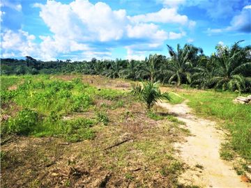 i019024 Fundo Venta – Irazola