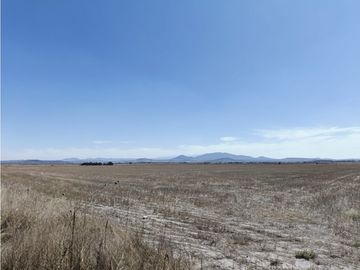 TERRENO DE 30 HECTAREAS EN VENTA, ZAPOTLAN HGO, ZONA PLATAH