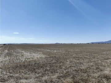 TERRENO DE 30 HECTAREAS EN VENTA, ZAPOTLAN HGO, ZONA PLATAH