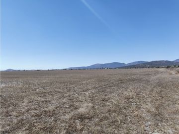 TERRENO DE 30 HECTAREAS EN VENTA, ZAPOTLAN HGO, ZONA PLATAH