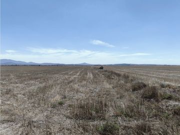 TERRENO DE 30 HECTAREAS EN VENTA, ZAPOTLAN HGO, ZONA PLATAH