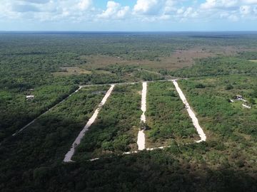 TERRENOS EN VENTA MOTUL NORTE, CARRETERA TELCHAC PUERTO.
