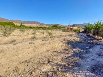 Parcela en venta en VICUÑA
