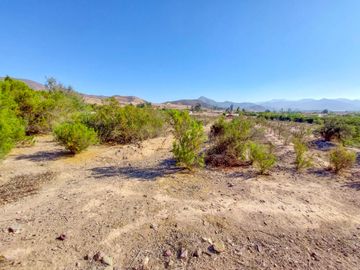 Parcela en venta en VICUÑA