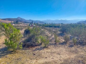 Parcela en venta en VICUÑA