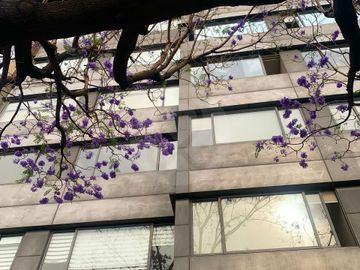 Polarea Departamento en venta en Ampliación Granada