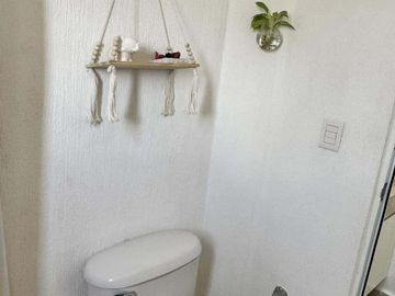 VENTA DE DEPARTAMENTO PLAYA DEL CARMEN LOS OLIVOS 2 HABITACIONES
