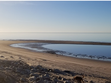 EXCLUSIVO TERRENO FRENTE AL MAR EN EL GOLFO DE CALIFORNIA