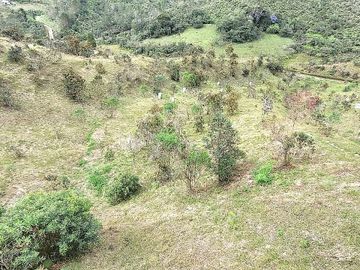Casa-Finca en Venta Ubicado en CONCEPCION Codigo 2015