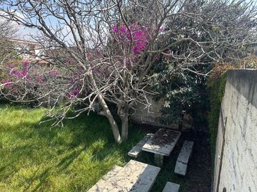 CASA CON AMPLIO TERRENO Y ARBOLES FRUTALES EN SAN MATEO TEZOQUIPAN