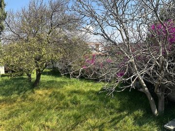 CASA CON AMPLIO TERRENO Y ARBOLES FRUTALES EN SAN MATEO TEZOQUIPAN