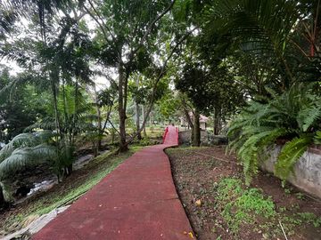 Casa con Amplio Jardin en Camino de Cruces remodelada.