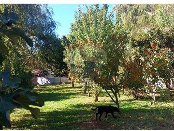 CASA DE CAMPO CON GRAN SITIO ISLA DE MAIPO