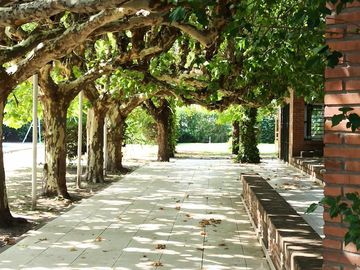 Casa Quinta Lote - B° San Ignacio - San Miguel
