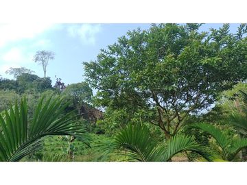 Se Vende Finca Pequeña en Filandia vía a Quimbaya