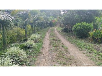 Se Vende Finca Pequeña en Filandia vía a Quimbaya