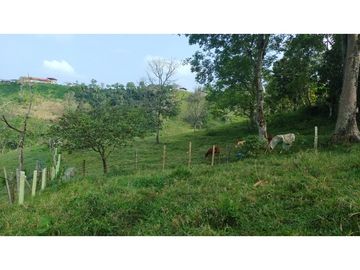 Se Vende Finca Pequeña en Filandia vía a Quimbaya