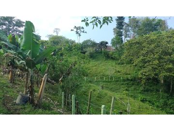 Se Vende Finca Pequeña en Filandia vía a Quimbaya