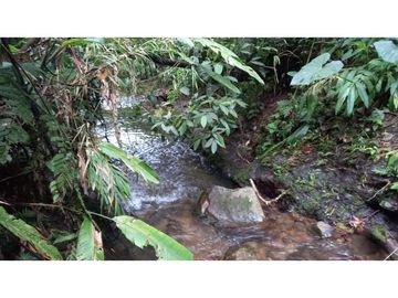 Se Vende Finca Pequeña en Filandia vía a Quimbaya