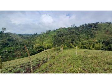 Se Vende Finca Pequeña en Filandia vía a Quimbaya