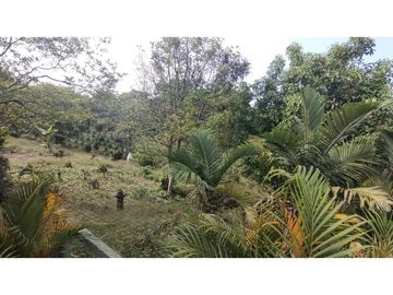 Se Vende Finca Pequeña en Filandia vía a Quimbaya