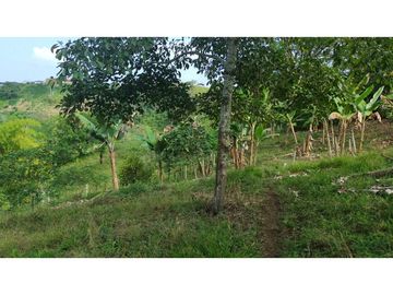 Se Vende Finca Pequeña en Filandia vía a Quimbaya