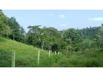 Se Vende Finca Pequeña en Filandia vía a Quimbaya