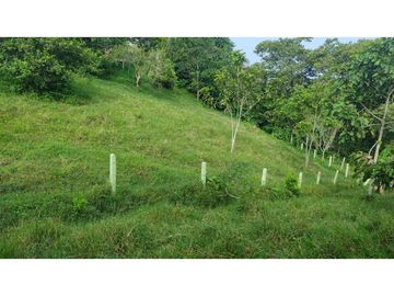 Se Vende Finca Pequeña en Filandia vía a Quimbaya