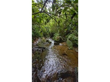 Se Vende Finca Pequeña en Filandia vía a Quimbaya